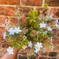 Wild Faux Flower arrangement - The Barn Shed