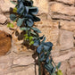 Frosted Eucalyptus Garland - The Barn Shed