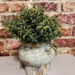 Distressed Rustic Vase - The Barn Shed