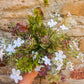 Wild Faux Flower arrangement - The Barn Shed