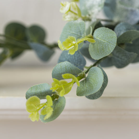 Frosted Eucalyptus Garland - The Barn Shed