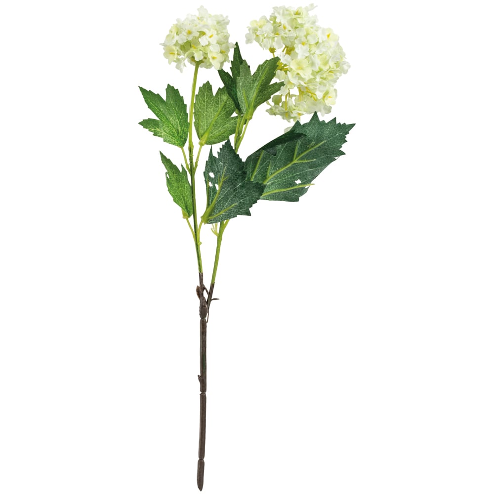 Snowball Viburnum Cream flower - The Barn Shed